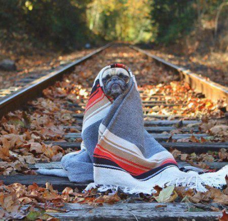 Тепло повернеться до Кременчука у п'ятницю, 6 жовтня