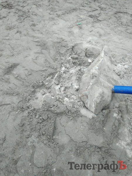 Осень - грибная пора: кременчужане пытались «собрать» пляжный грибок