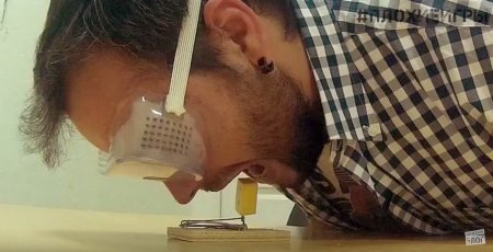 «Боюсь, что я ртом промажу»: кременчужане доставали сыр из мышеловки ртом