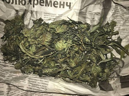 В Кременчуге задержали торговку «травкой» В Кременчуге задержали торговку «травкой»