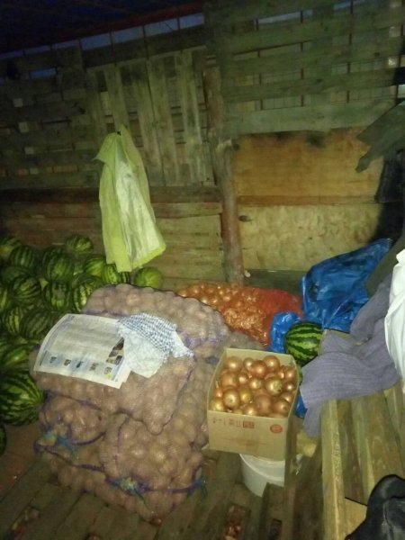 Вор-богатырь: в Полтаве мужчина нёс 5 сеток лука, которые стырил из ларька