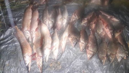 Рибалки-порушники завдали збитку майже на 54 тисячі гривень