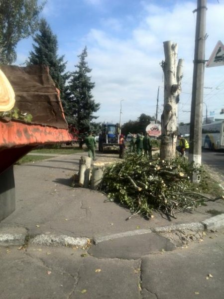 Спиляні у Кременчуці дерева зігріватимуть домівки малозабезпечених, – мерія