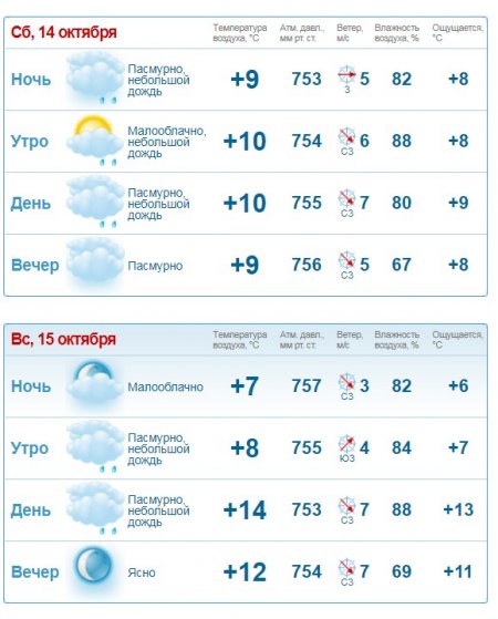На День защитника Украины в Кременчуге будет лить дождь и подымется ветер
