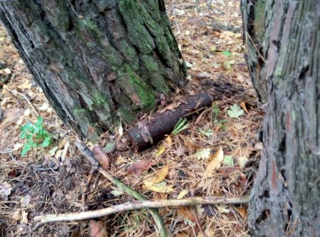 Под Кременчугом нашли артснаряд