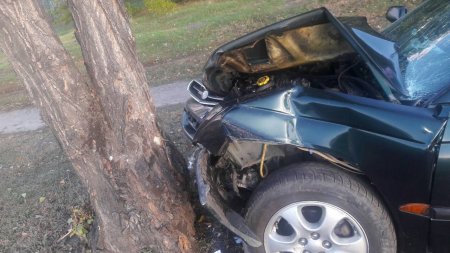 В Кременчуге автомобиль съехал с дороги и врезался в дерево