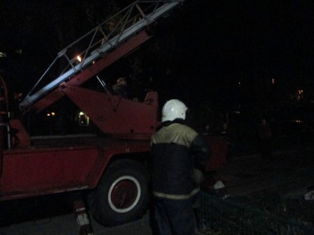Кременчугские спасатели снимали фазана, застрявшего на дереве