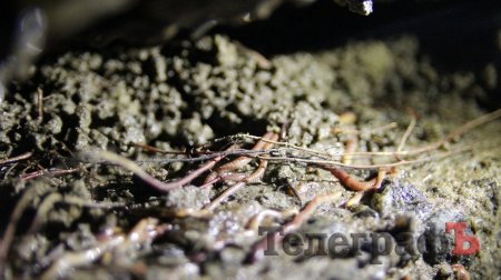 «Коли летіла плита ми думали, що землетрус або будинок валиться», - кременчужани