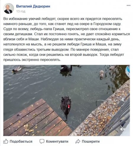 Лебединое озеро: Дедюрин пророчит паре Маши и Гриши пополнение