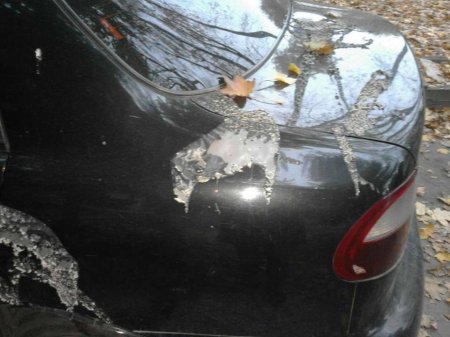 Адвокату обвиняемого в убийстве Бабаева облили кислотой машину