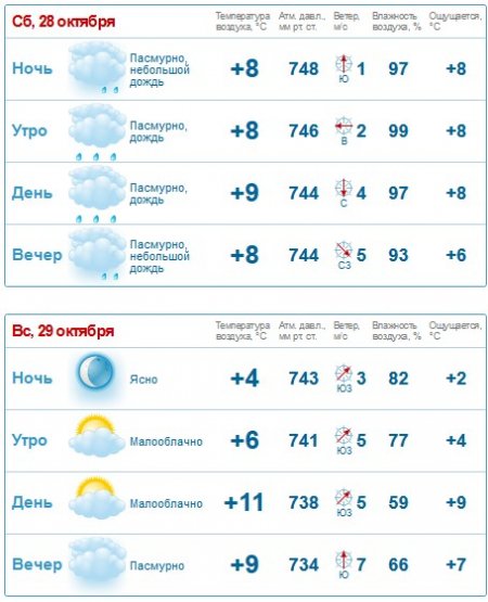 Туман, ветер и сильный дождь прогнозируют Кременчугу синоптики на выходные