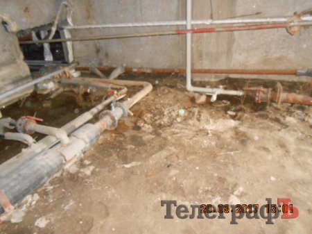 Подвал «облагородили», отопление включили - «Житлорембудсервис» отчитался о жалобах в «ТелеграфЪ»