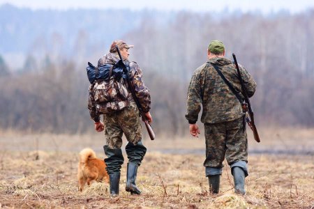 Діставайте рушниці: 4 листопада на Полтавщині стартує сезон полювання