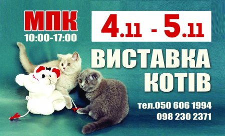 4 и 5 ноября в Кременчуге состоится Выставка элитных пород кошек