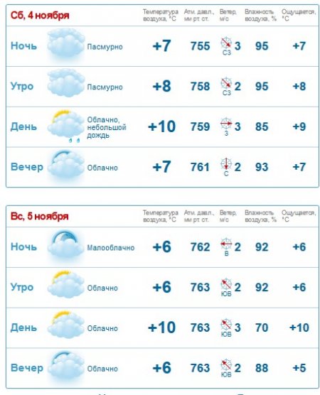 Туман и мелкий дождик прогнозируют Кременчугу синоптики на выходные