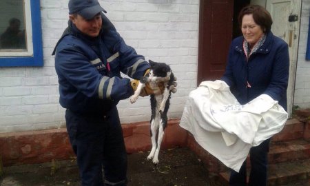В Кременчуге спасатели доставали кота, упавшего в колодец