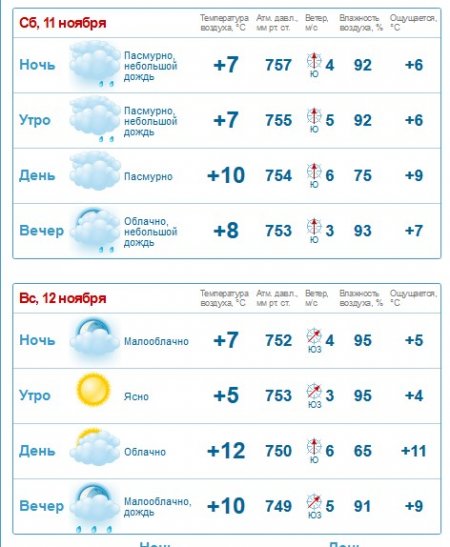 Осенняя морось: кременчужанам прогнозируют туманные и дождливые выходные