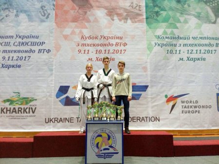 8 нагород завоювали кременчуцькі тхеквондисти