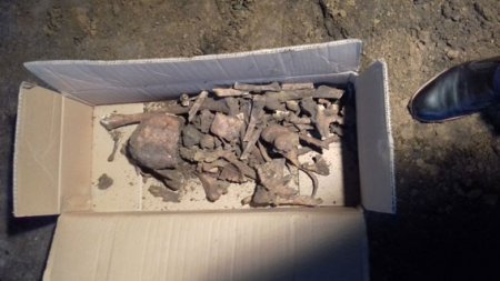 На Полтавщине во время строительных работ нашли человеческие останки
