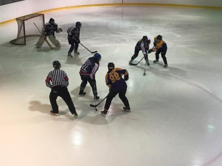 39 шайб за один тур пропустили хокеїстки «Лавини»