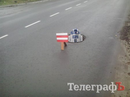 В Крюкове появилась своя «кроличья нора»