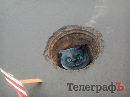 В Крюкове появилась своя «кроличья нора»