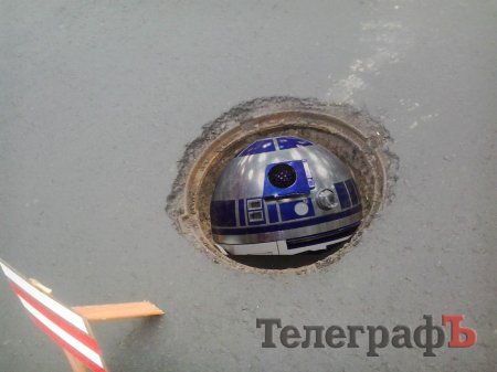 В Крюкове появилась своя «кроличья нора»