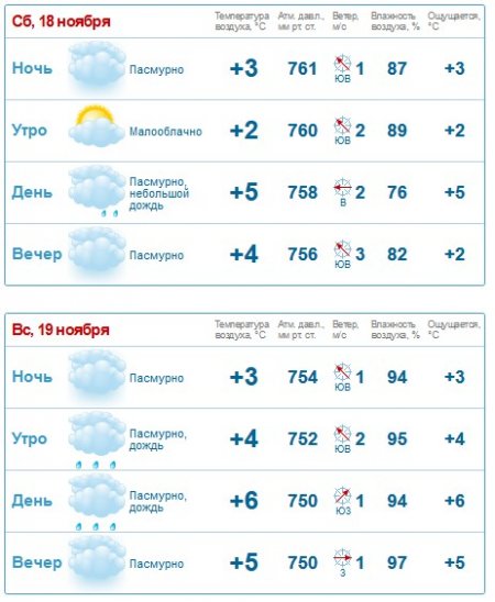 На выходных в Кременчуге сохранится осенняя погода - будет холодно и сыро