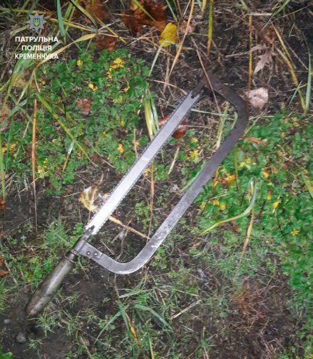 Кременчужанин вырезал кабель в локомотиве