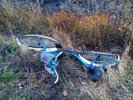 На Полтавщине Skoda насмерть сбила велосипедиста