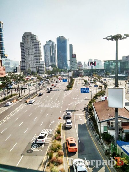 Опа, гангнам стайл: Южная Корея глазами кременчужан