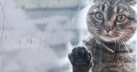 І сніг, і дощ, і вітер прогонозують Кременчуку синоптики