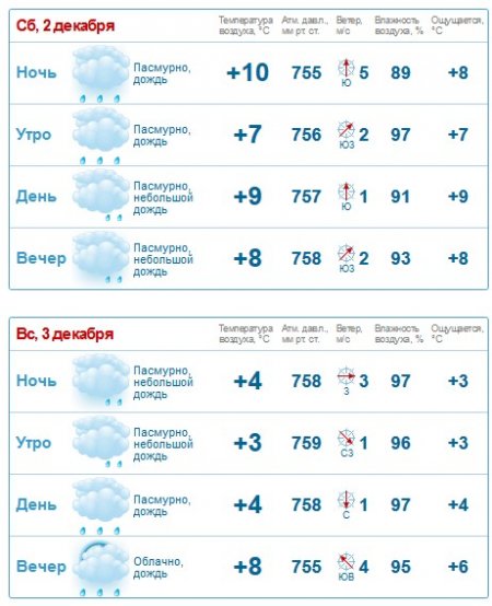 В первые зимние выходные в Кременчуге будет стоять осенняя погода