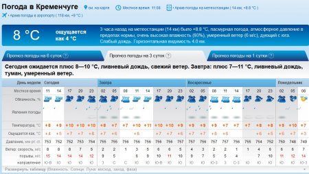 В первые зимние выходные в Кременчуге будет стоять осенняя погода