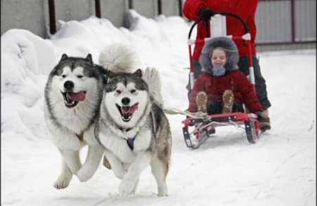 Топ-20 рождественских фестивалей: куда отправиться за новогодним настроением