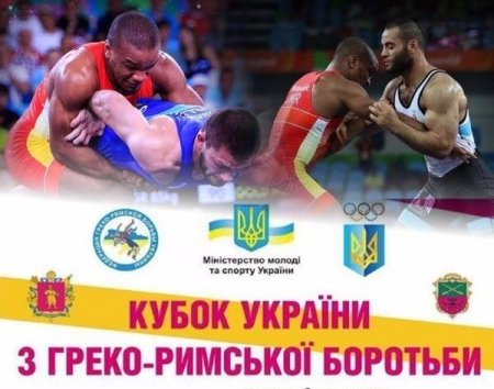 Кременчуцькі борці завоювали золоту та бронзову медалі на Кубку України
