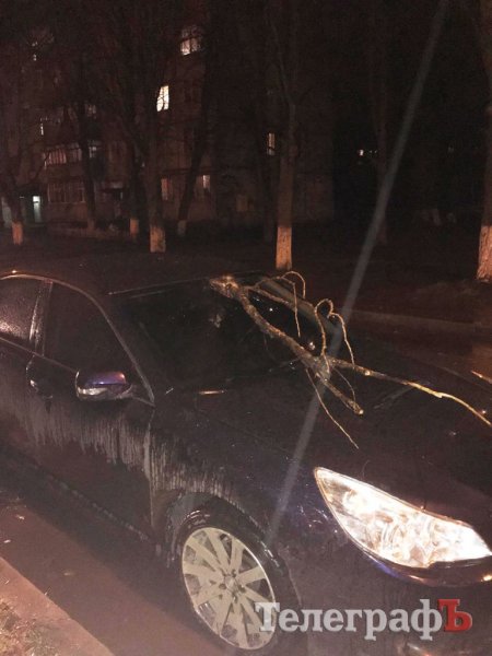 В Кременчуге упавшая ветка пробила лобовое стекло автомобиля и чуть не убила водителя