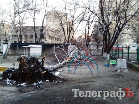 В Кременчуге дерево упало на площадку в детском садике