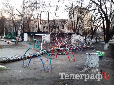 В Кременчуге дерево упало на площадку в детском садике
