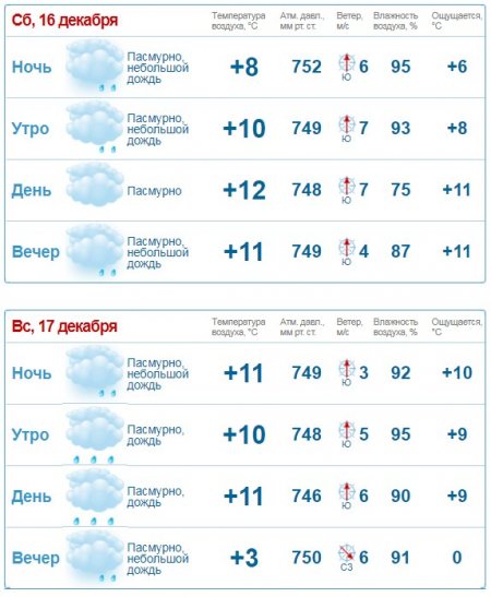 Главную ёлку откроют под проливным дождём? На выходных в Кременчуге будет ветрено и дождливо