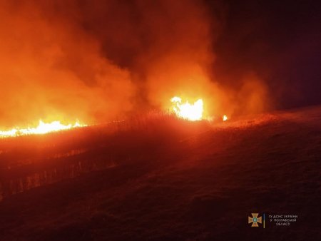 У Рокитному горить трава