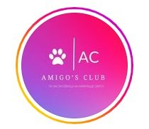 "Amigo's Club" аніматорське агенство