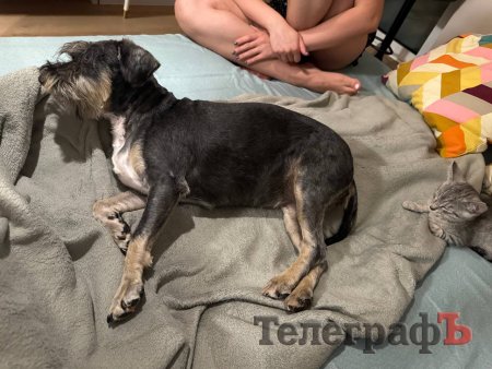 Відпочинок у Польщі