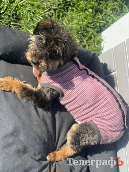 Після стерилізації