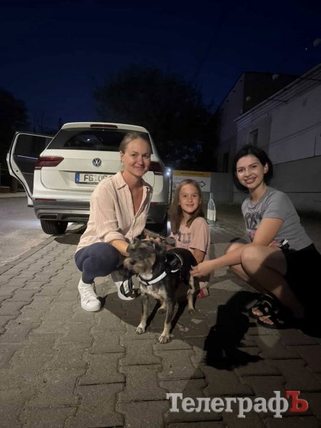 Довгоочікувана зустріч з новою сімʼєю