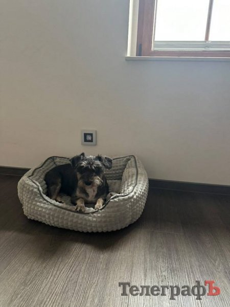 Бабуля в Німеччині й дуже щаслива