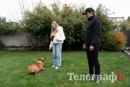 кінолог Марія та її пес Мажор