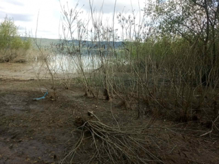 Бакотська затока/фото Вікторії Білівської