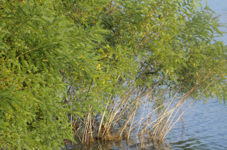 Дністер / фото Віктора Бондарца