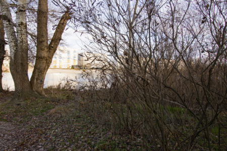 Затока Барбара м. Горішні Плавні  / фото Сергія Калініченка